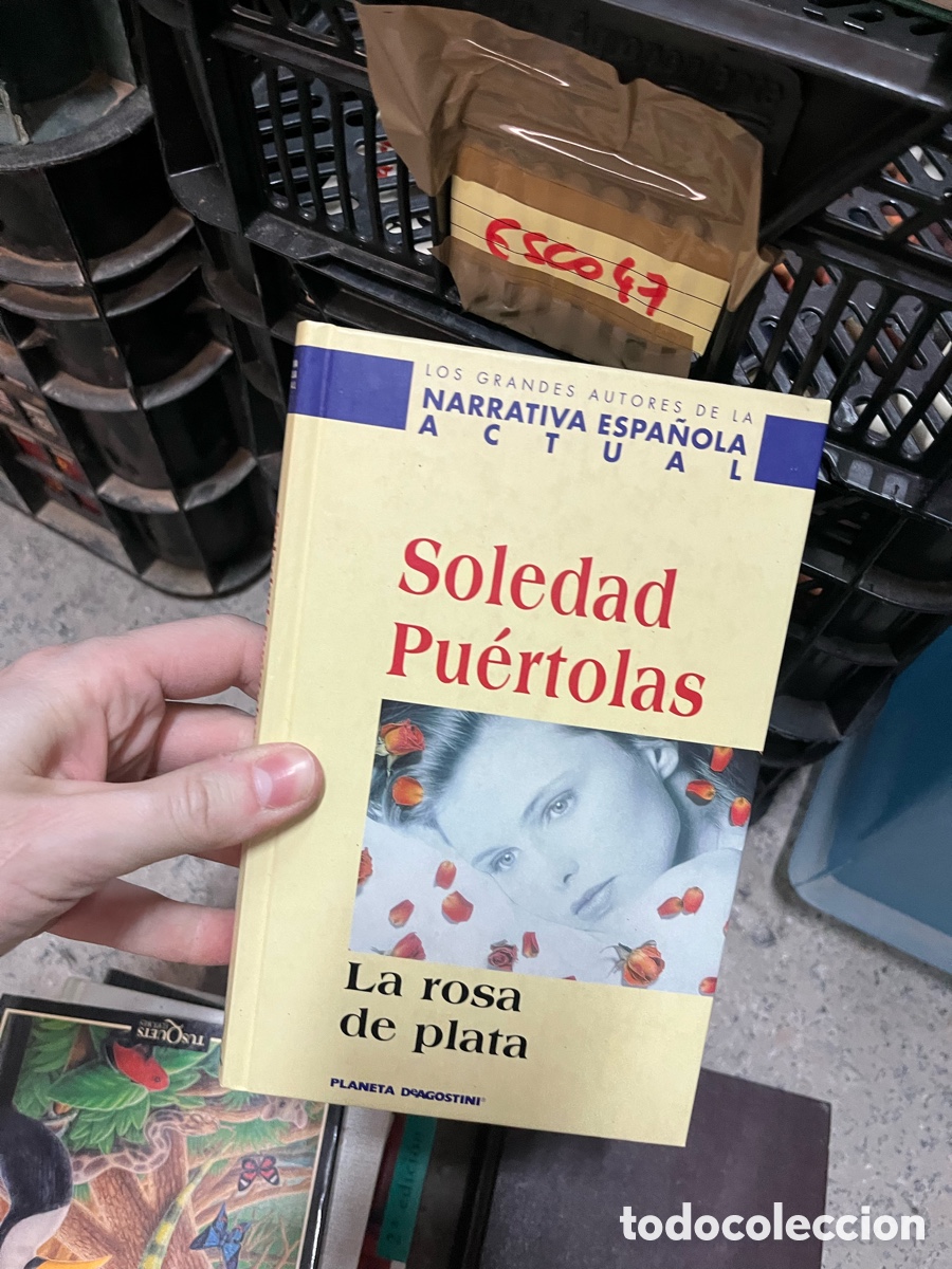 Libros de segunda mano: Esco43 Soledad Pu&eacute;rtolas La rosa de plata - Foto 1
