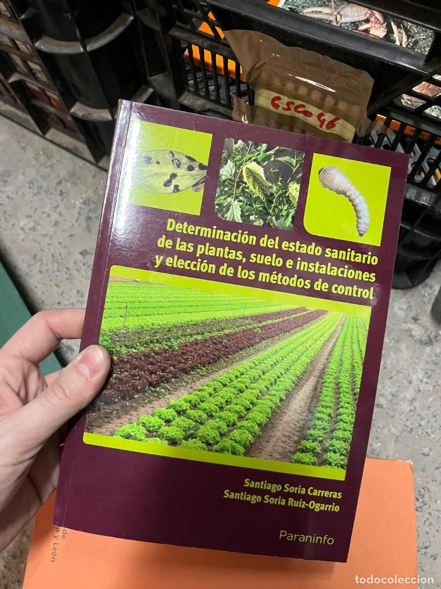 Libros de segunda mano: ESCO46 DETERMINACION DEL ESTADO SANITARIO PLANTAS, SUELO E INSTALACIONES Y ELECCION METODOS CONTROL