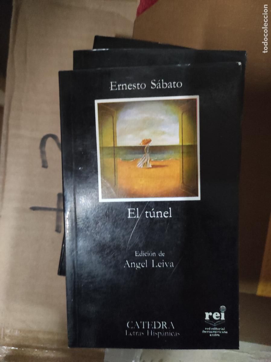 Libros de segunda mano: El Tunel Ernesto Sabado - Catedra edicion hispanoamericana REI