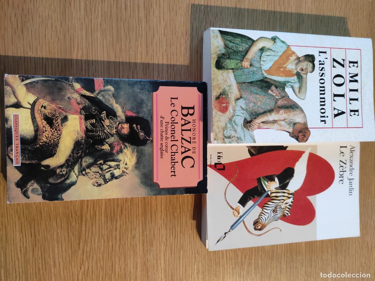 Libros de segunda mano: Lote Libros en Franc&eacute;s - Foto 1