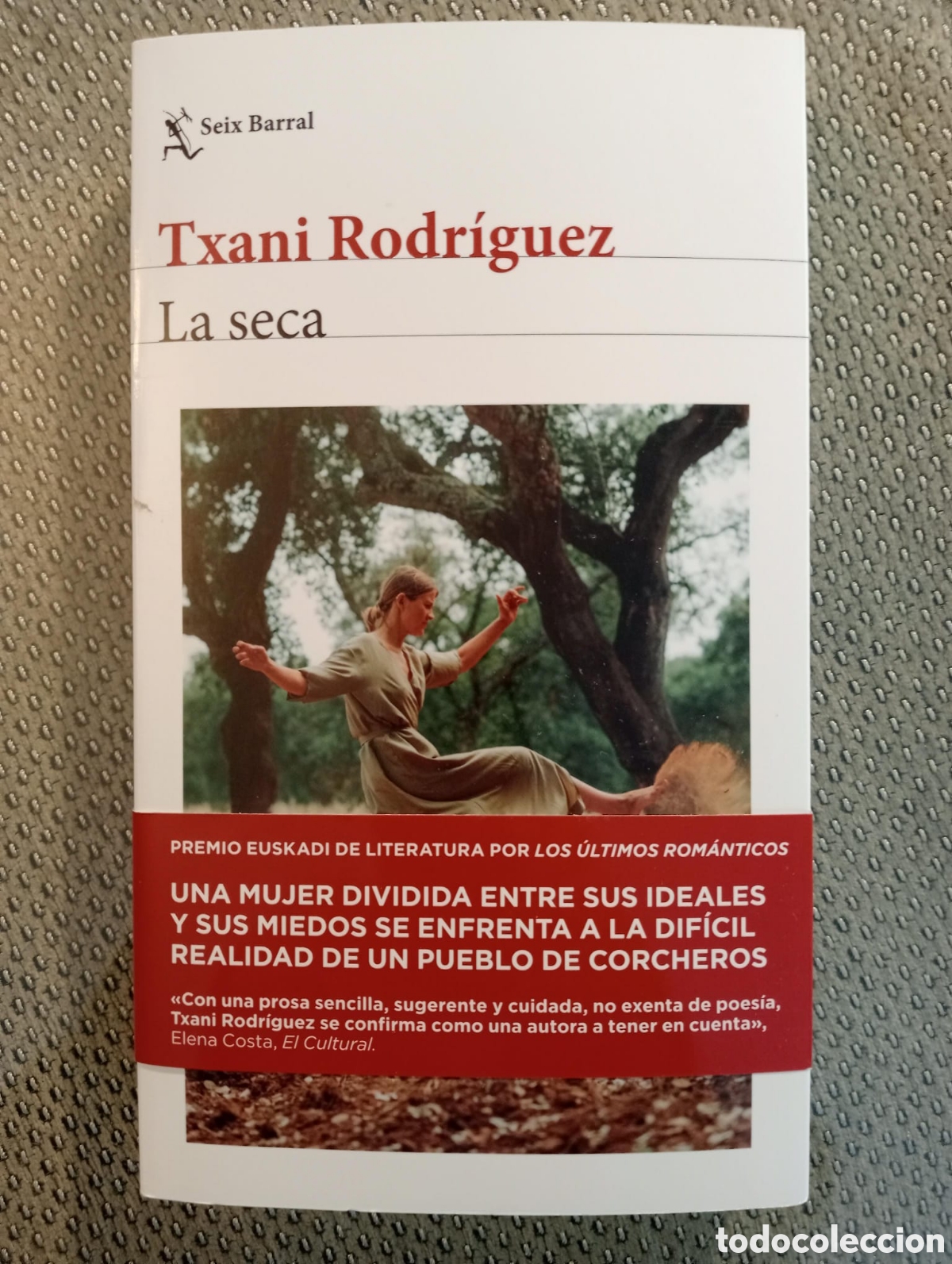 Libros de segunda mano: LA SECA / TXANI RODR&Iacute;GUEZ - Foto 1