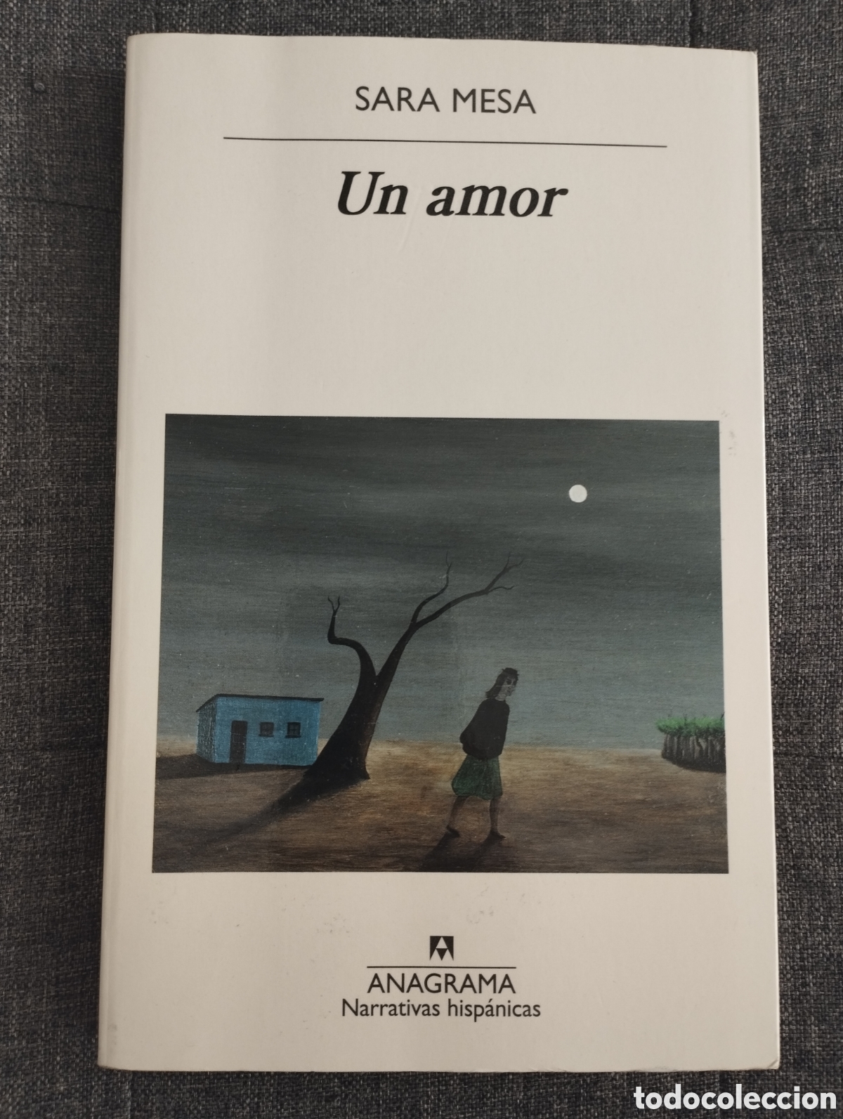 Libros de segunda mano: UN AMOR (SARA MESA) - Foto 1