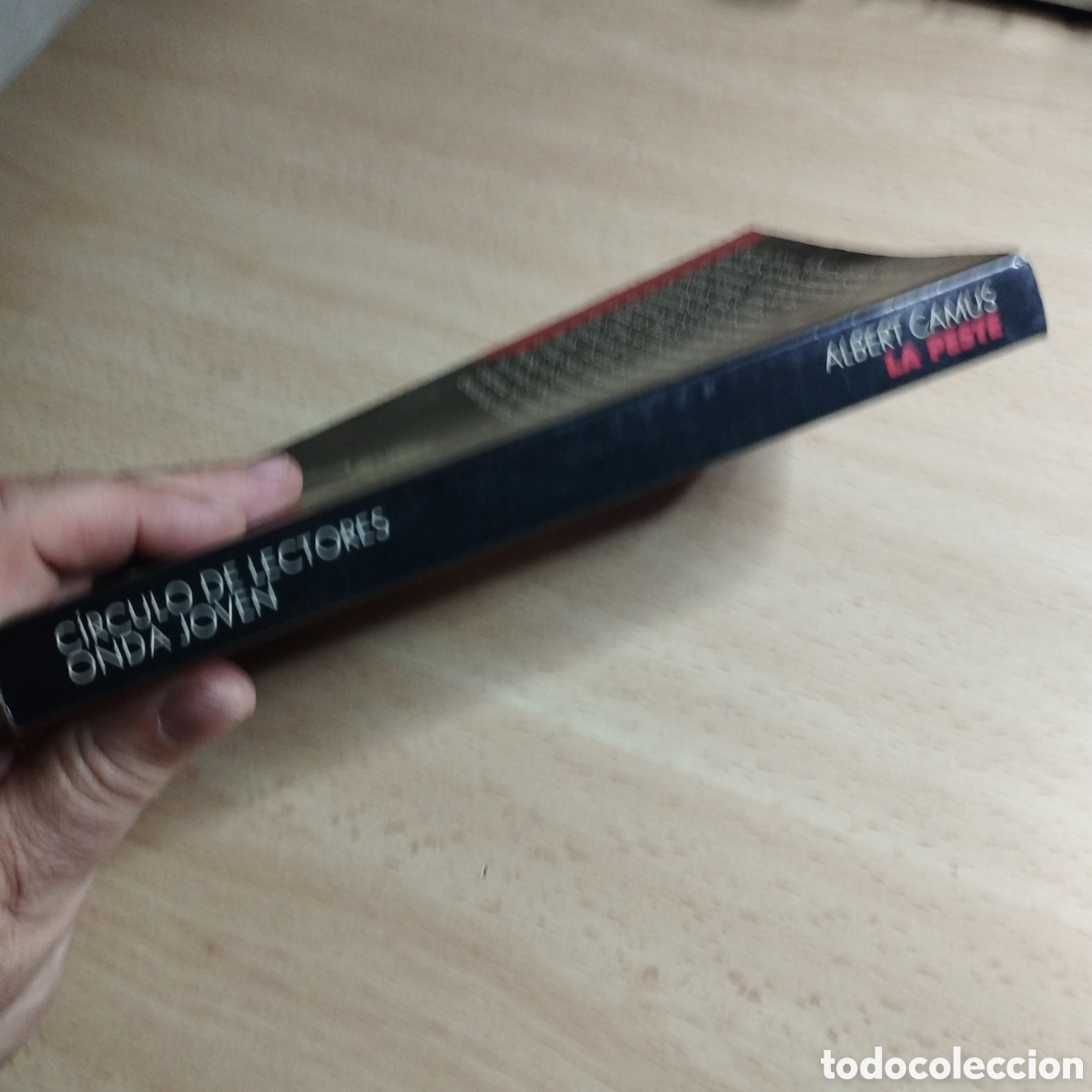 Libros de segunda mano: La peste. Albert Camus. Circulo de lectores. - Foto 3
