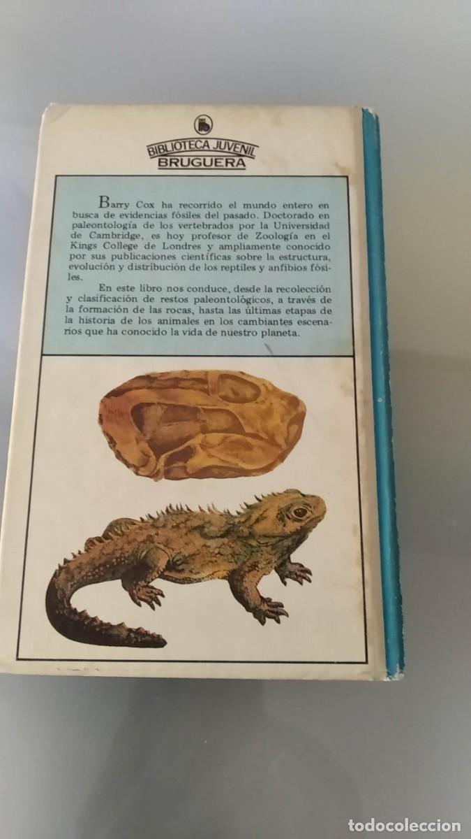 Libros de segunda mano: LIBRO ANTIGUO ANIMALES PREHISTORICOS - Foto 2