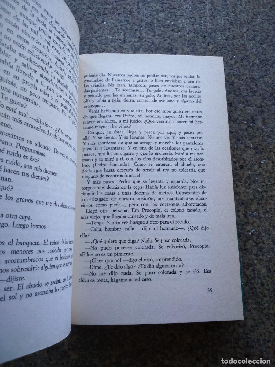Libros de segunda mano: EL HARAGAN -- TOMAS SALVADOR -- CIRCULO -- - Foto 2