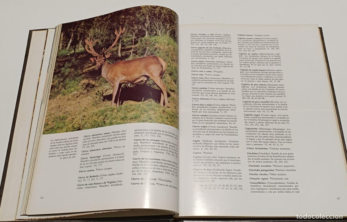 Libros de segunda mano: FAUNA. 2 EDICIONES SALVAT - Foto 2