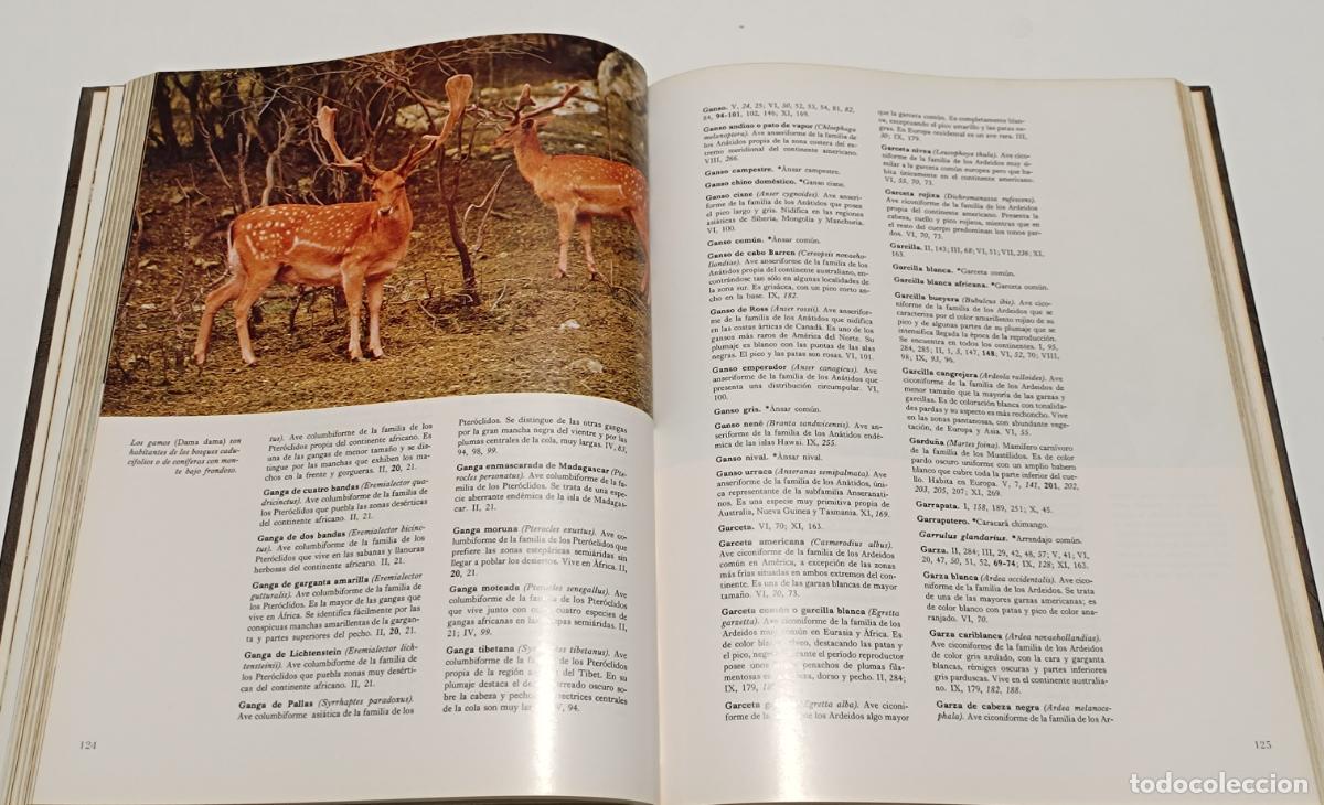 Libros de segunda mano: FAUNA. 2 EDICIONES SALVAT - Foto 3