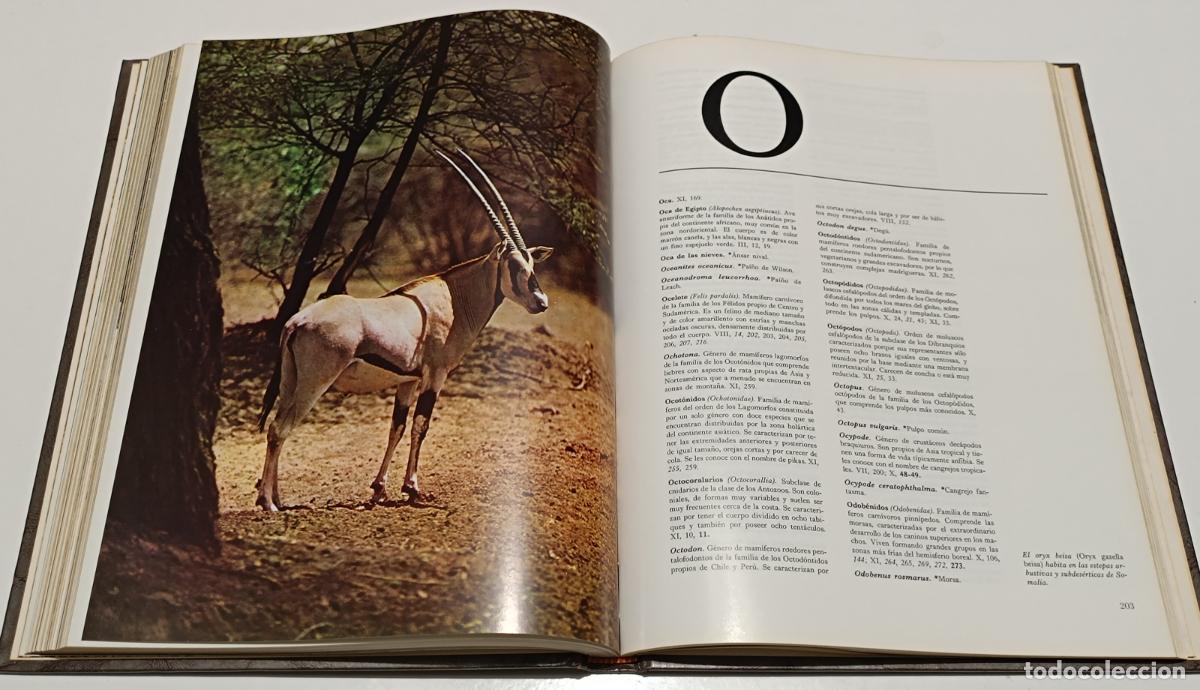 Libros de segunda mano: FAUNA. 2 EDICIONES SALVAT - Foto 4