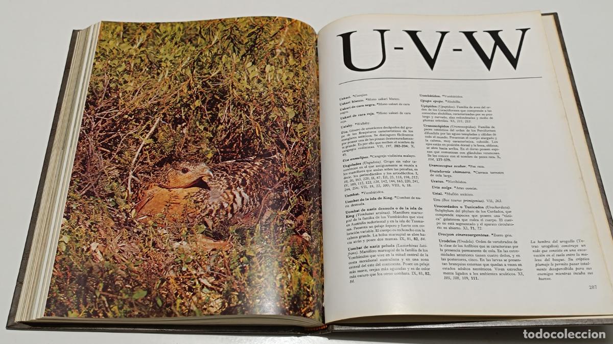 Libros de segunda mano: FAUNA. 2 EDICIONES SALVAT - Foto 5