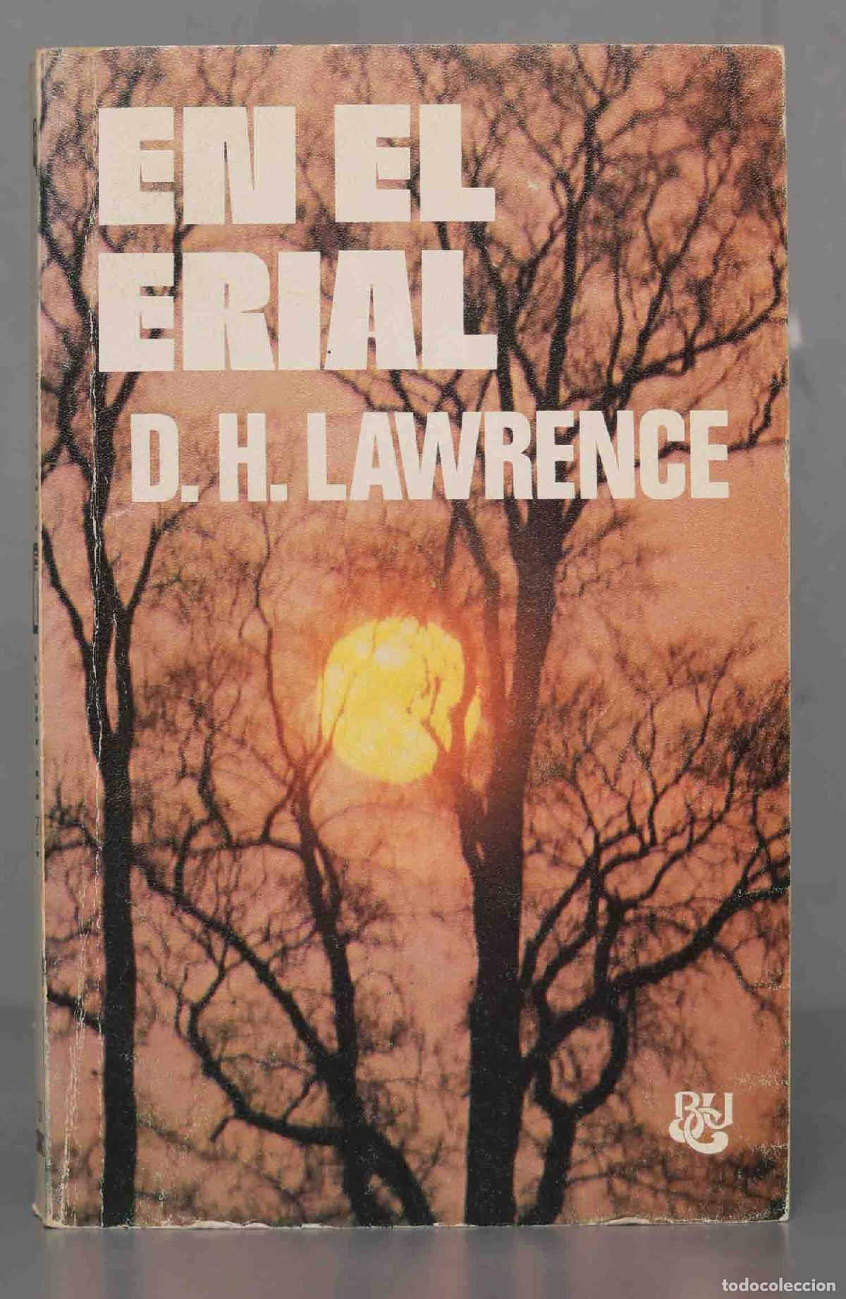 Libros de segunda mano: En el erial Lawrence - Foto 1