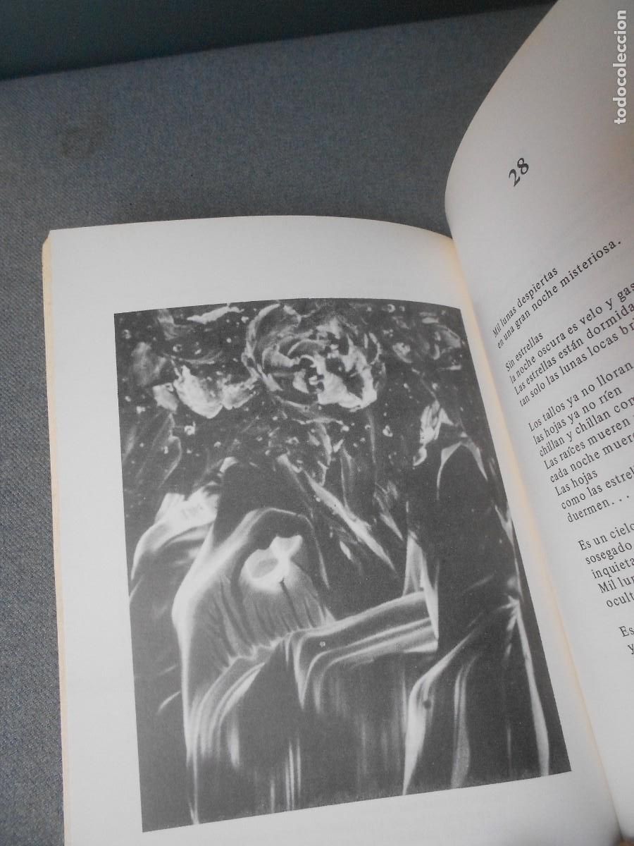 Libros de segunda mano: ENIGMA FENIX. MANUEL QUINTANILLA - Foto 7