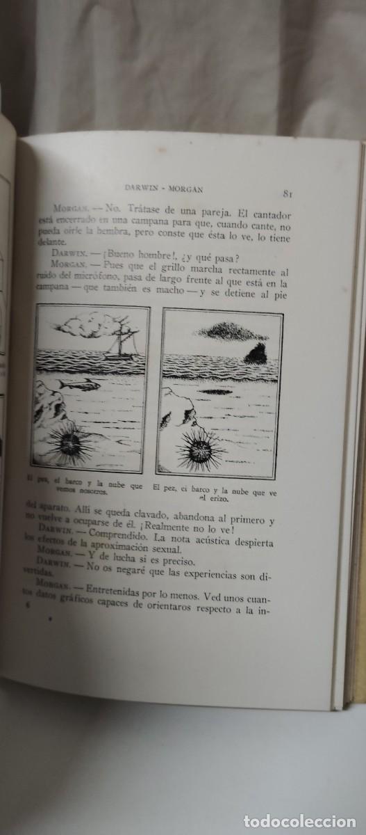 Libros de segunda mano: CONCEPTOS AL DIA (A. ORIOL ANGUERA) - Foto 4