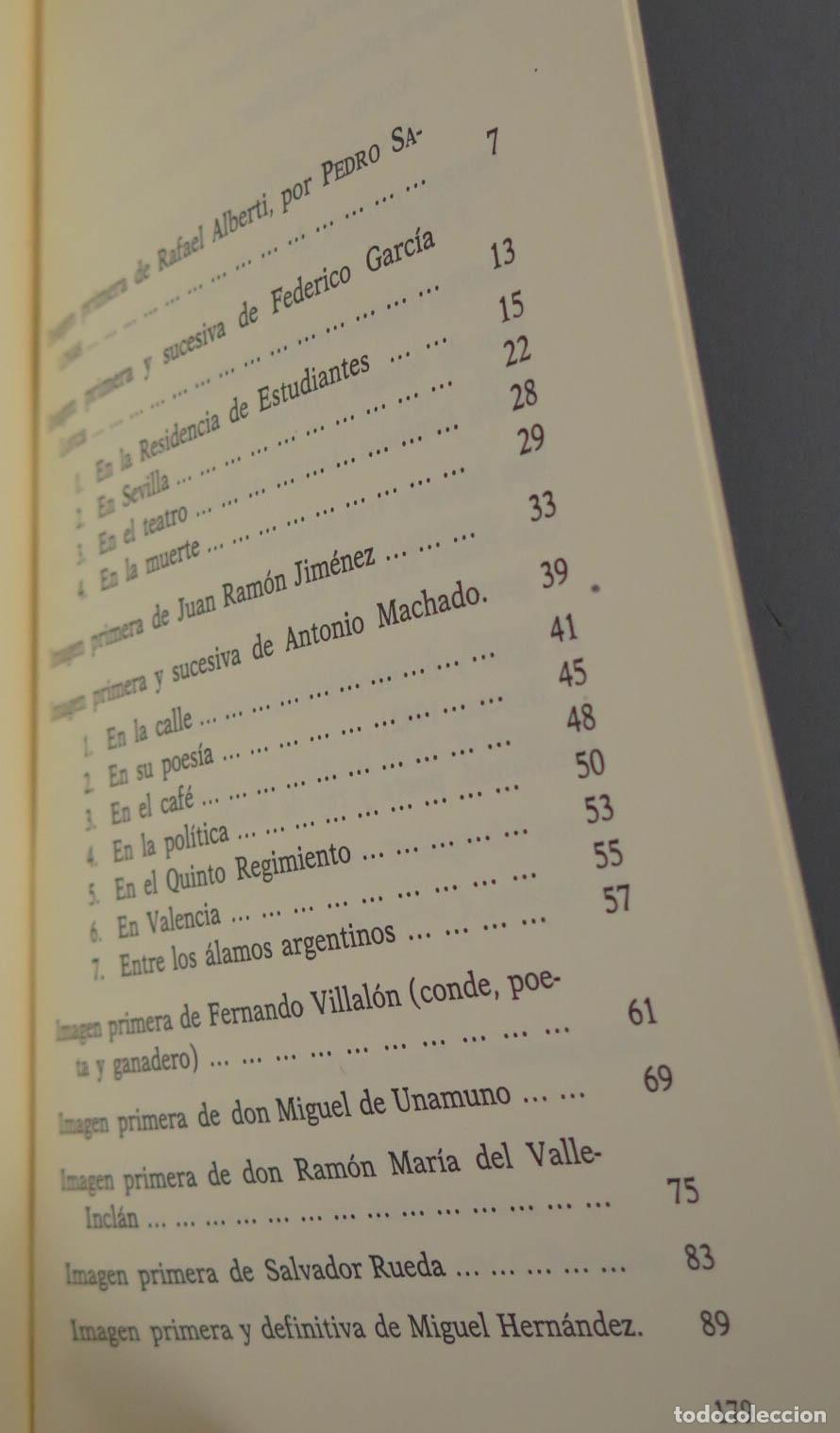 Libros de segunda mano: Imagen primera de Alberti - Foto 2