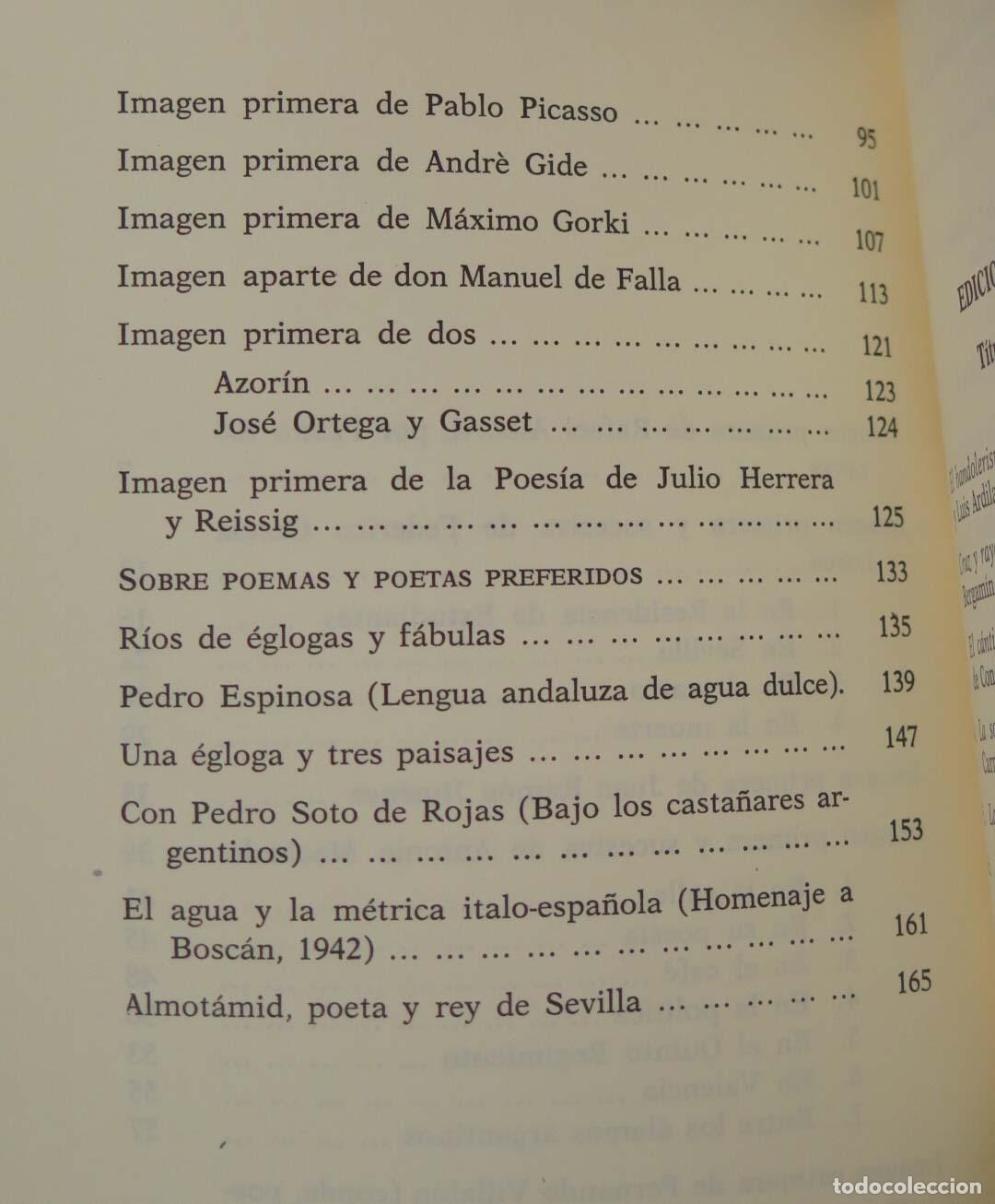 Libros de segunda mano: Imagen primera de Alberti - Foto 3
