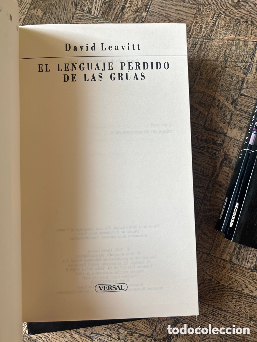 Libros de segunda mano: Biblioteca David Leavitt - Versal - Foto 6