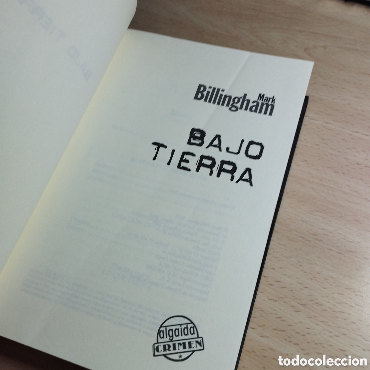 Libros de segunda mano: Bajo Tierra. Mark Billingham. 2007. Algaida - Foto 5