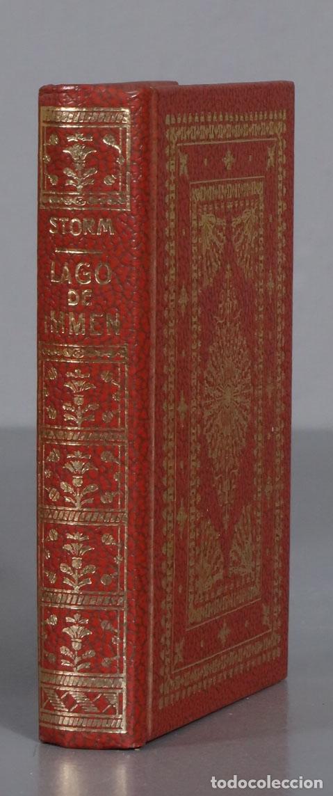 Libri di seconda mano: EL LAGO DE IMMEN STORM. 1962