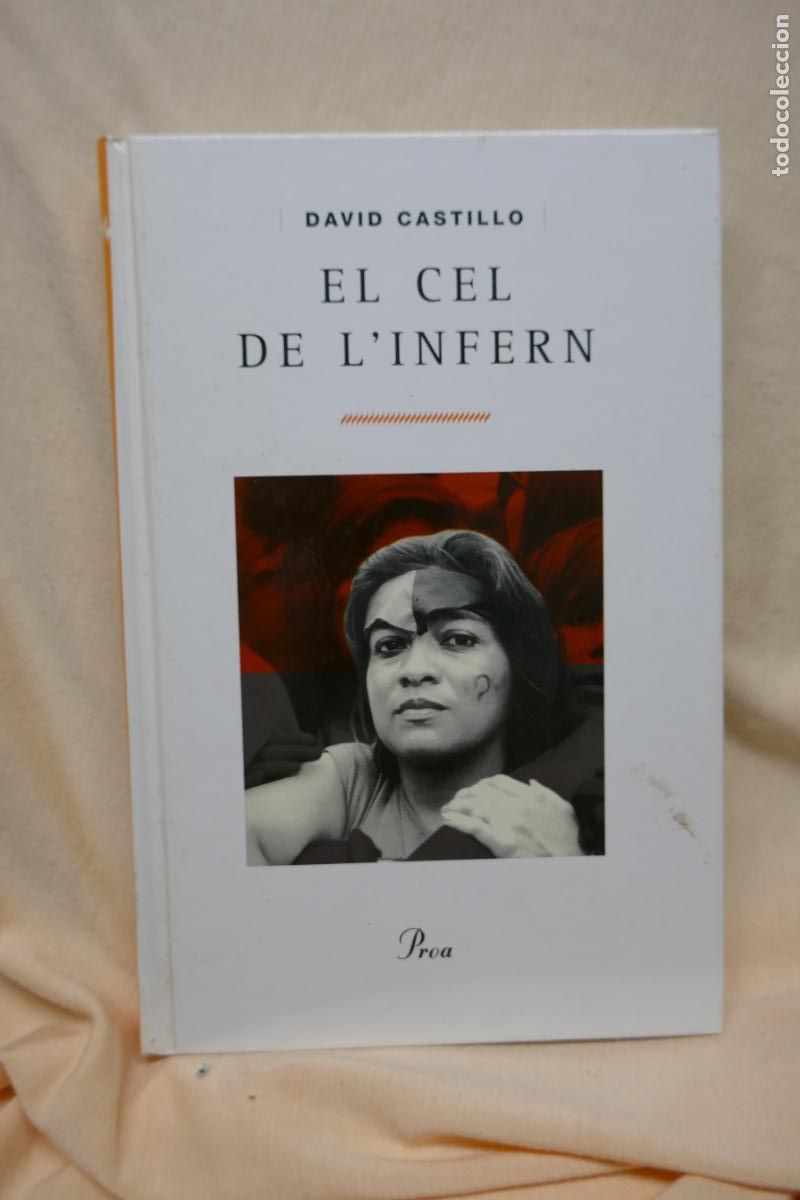 Libros de segunda mano: EL CEL DE LINFERN - DAVID CASTILLO - PROA (EN CATALAN) - Foto 1