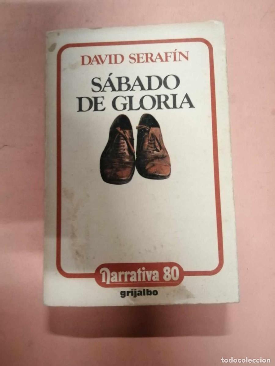 Libros de segunda mano: SABADO DE GLORIA (DAVID SERAFIN) - Foto 1