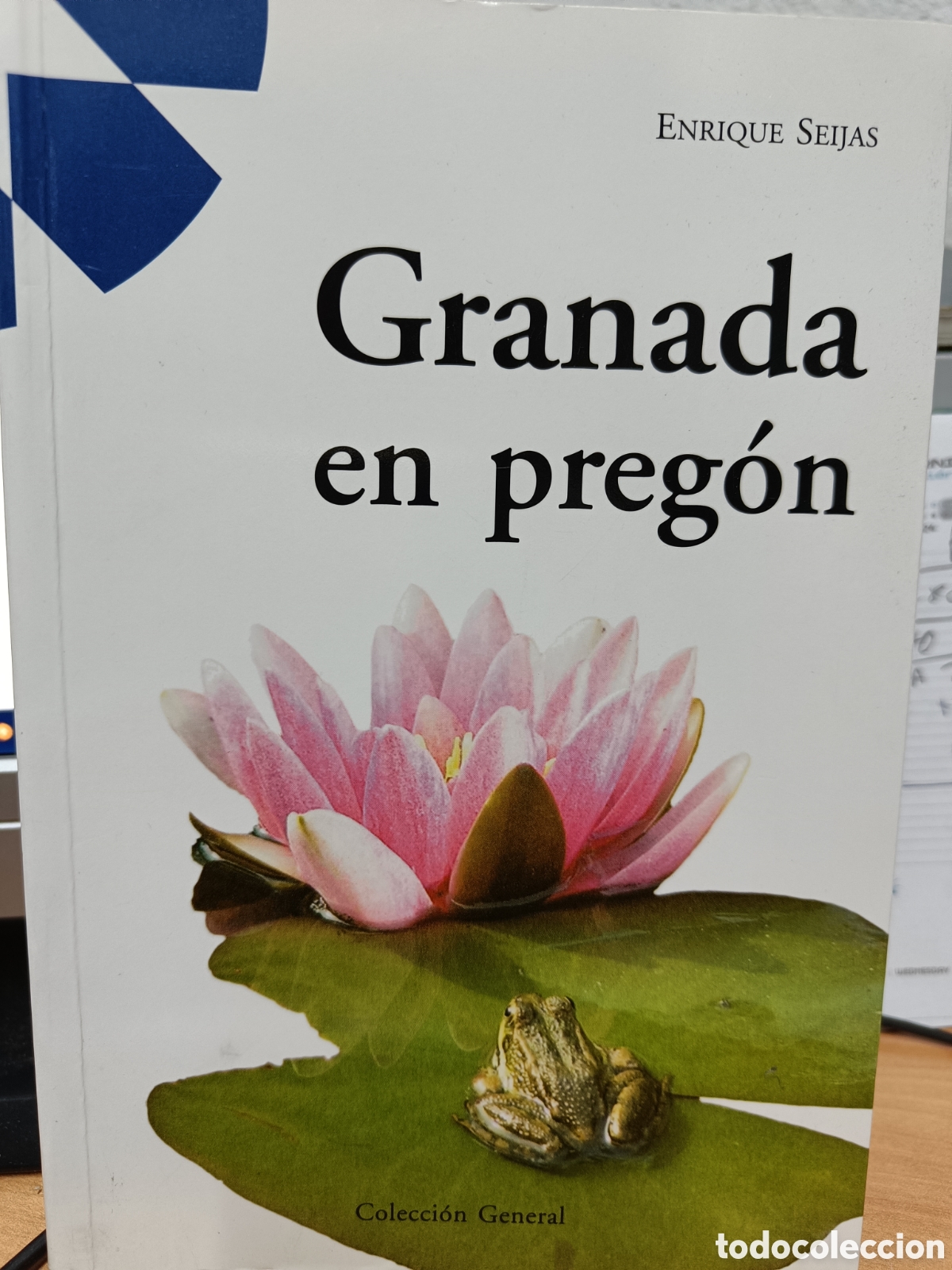 Libros de segunda mano: GRANADA EN PREG&Oacute;N. ENRIQUE SEIJAS. - Foto 1