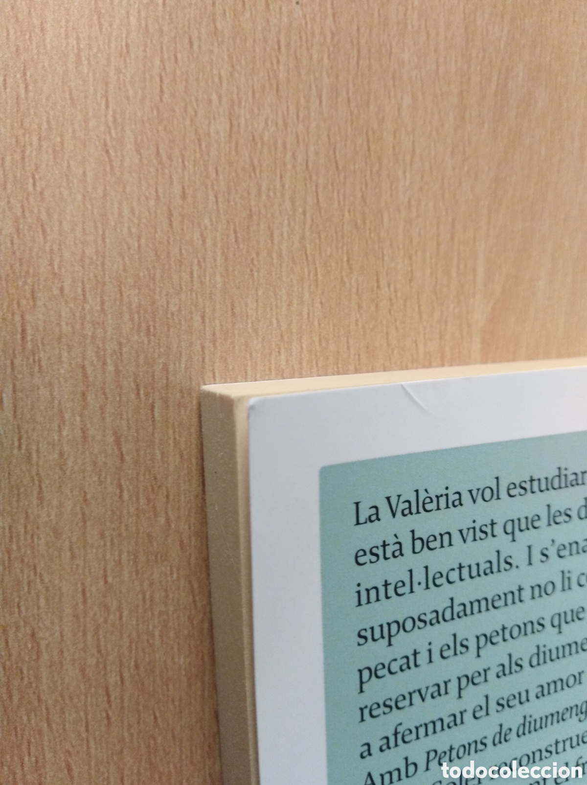 Libros de segunda mano: PETONS DE DIUMENGE. S&iacute;lvia Soler - Foto 3