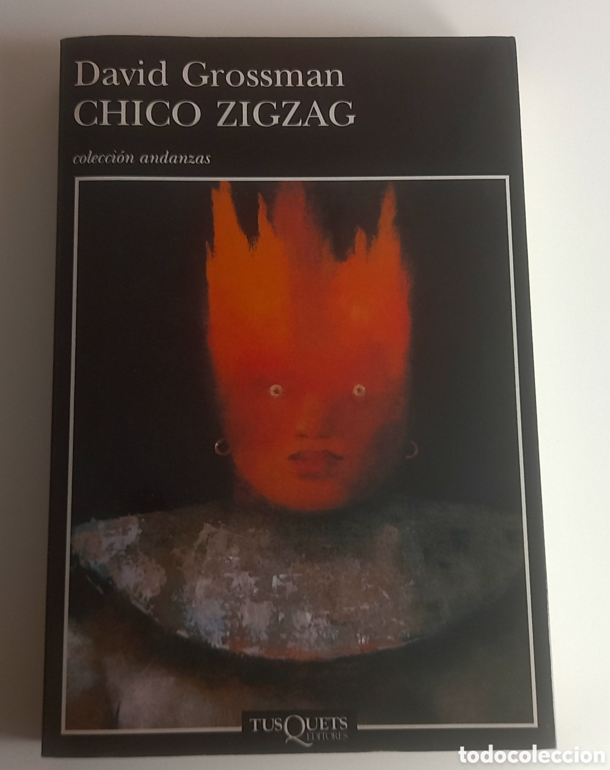 Libros de segunda mano: CHICO ZIG ZAG, GROSSMAN, TUSQUETS - Foto 1