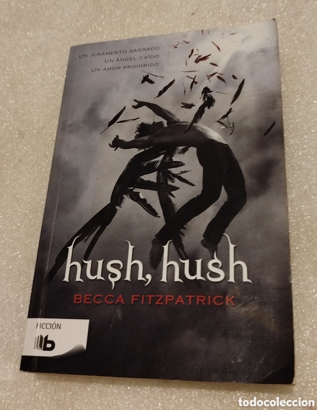 Libros de segunda mano: Hush, hush - Rebeca Fitzpatrick - Foto 1