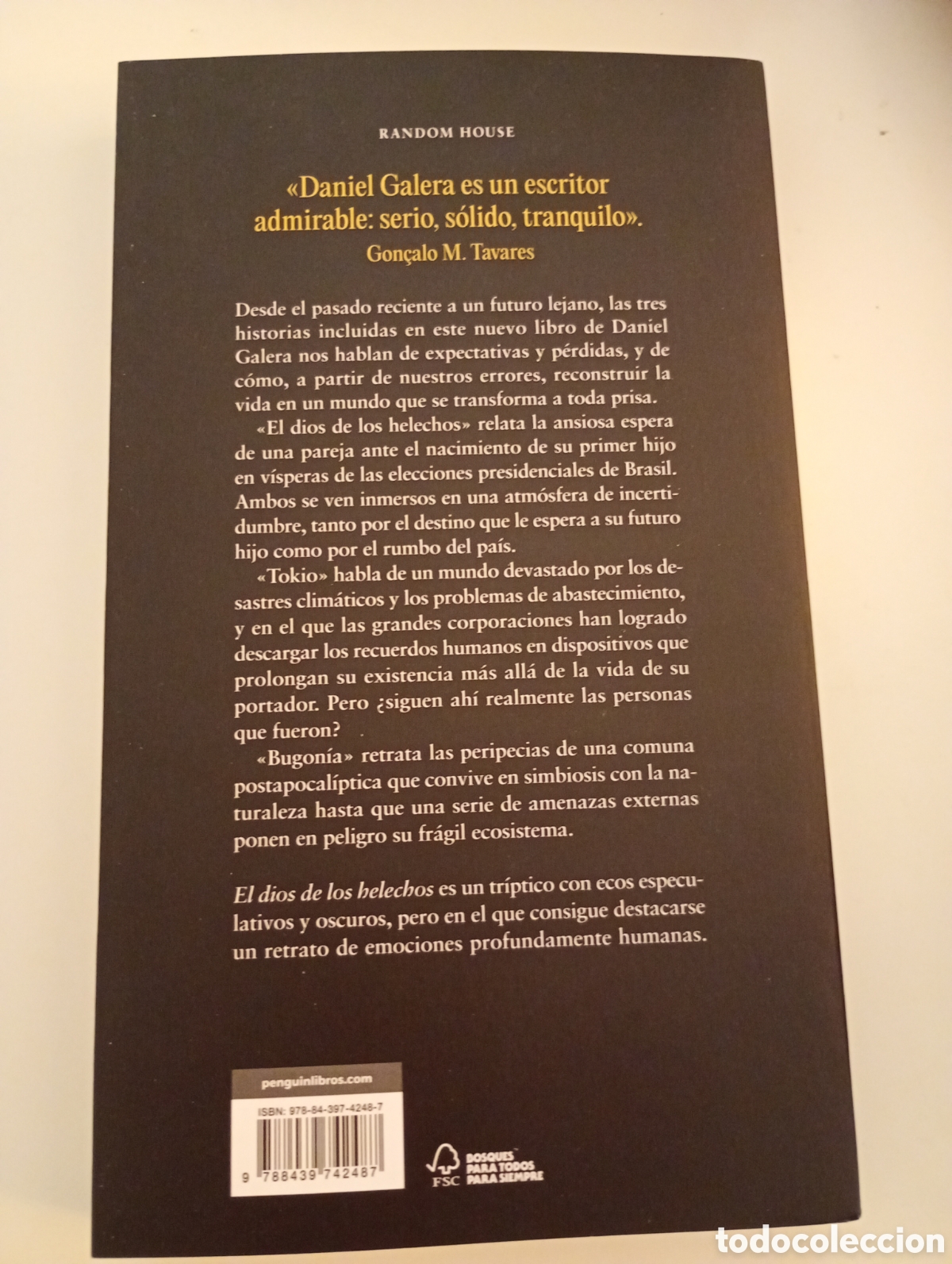 Libros de segunda mano: Daniel Galera . El dios de los helechos . random house . - Foto 2