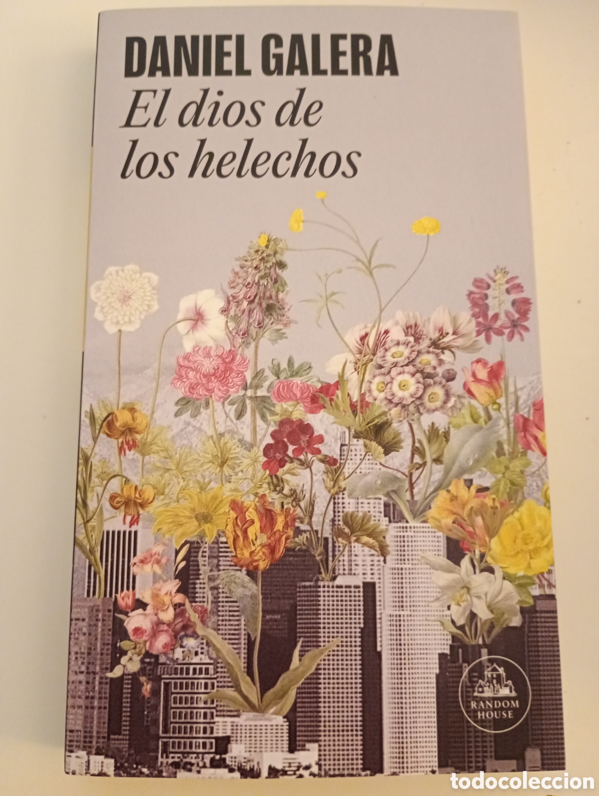 Libros de segunda mano: Daniel Galera . El dios de los helechos . random house . - Foto 1