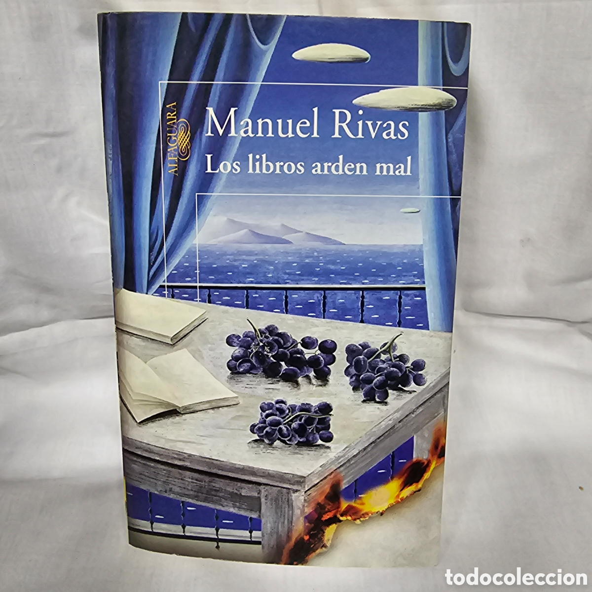 Libros de segunda mano: LOS LIBROS ARDEN MAL- MANUEL RIVAS - Foto 1
