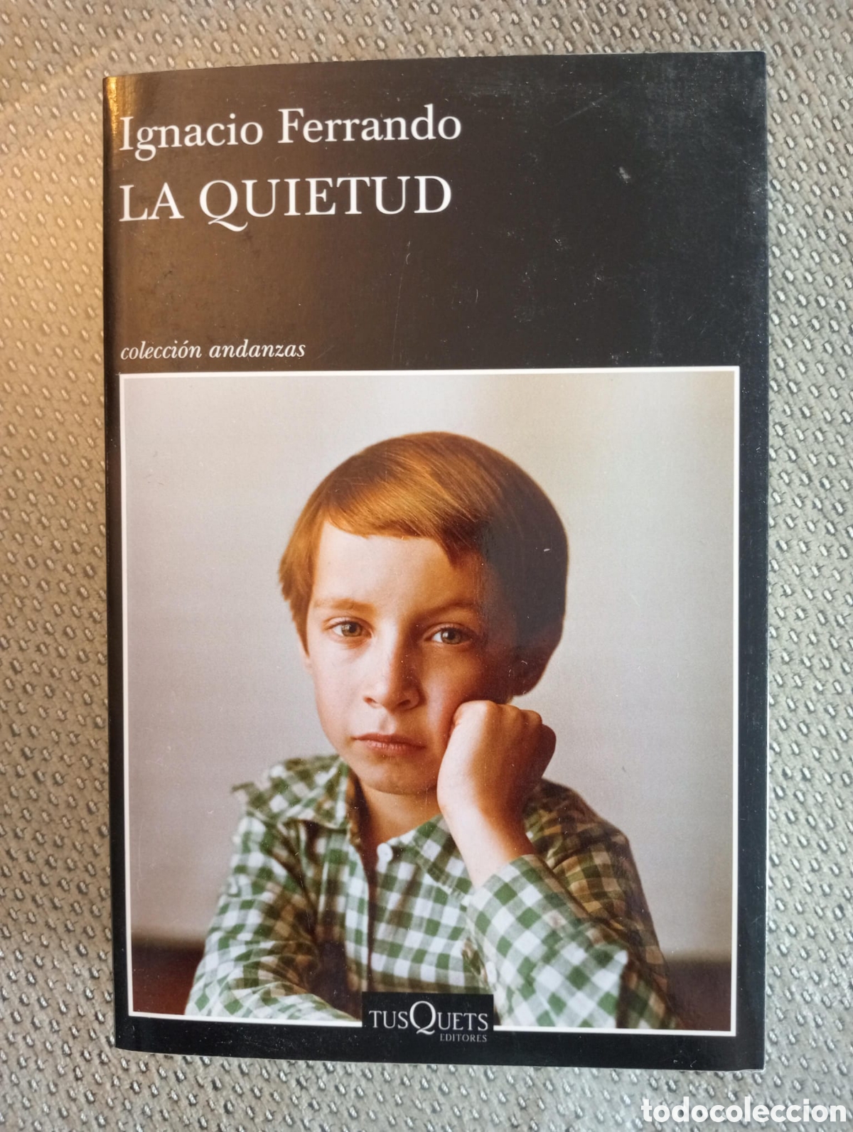 Libros de segunda mano: La quietud / Ignacio Ferrando - Foto 1