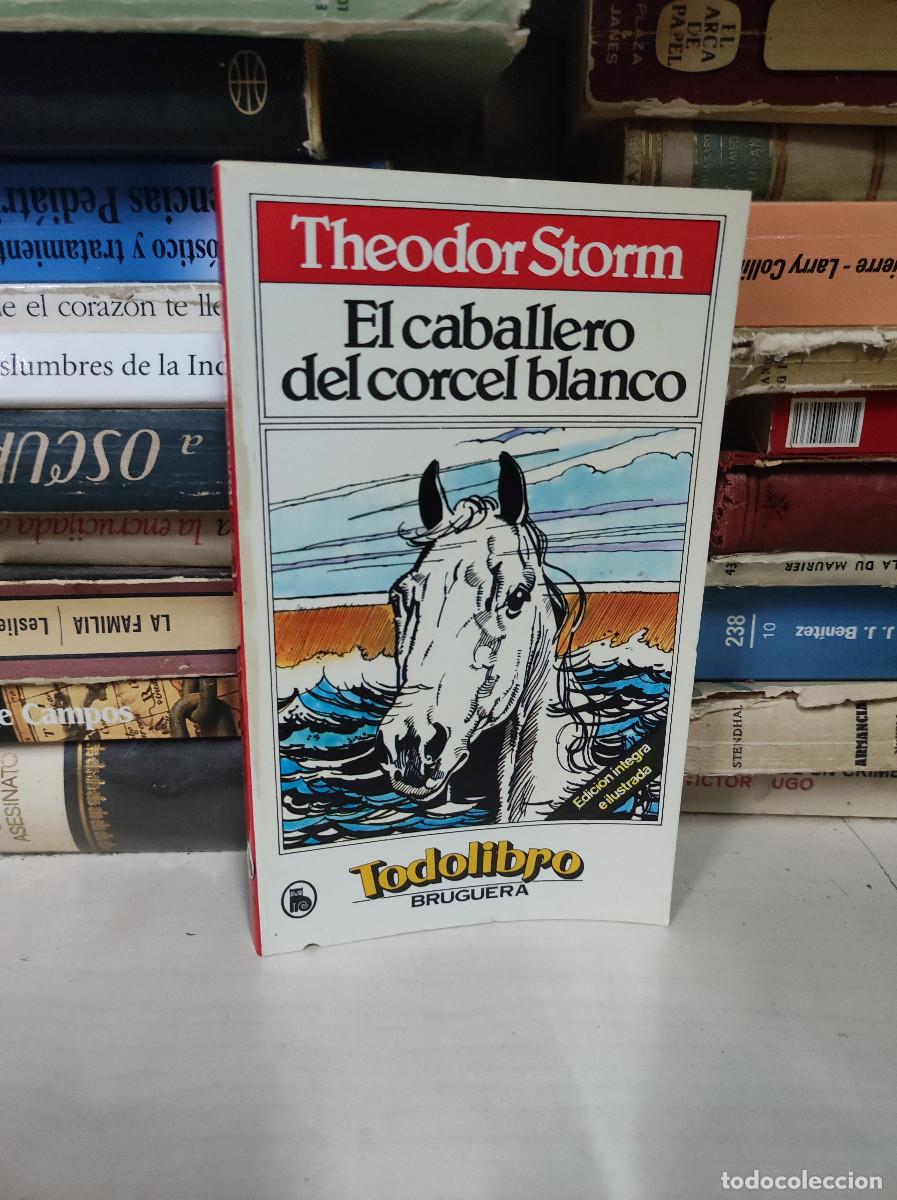 Libros de segunda mano: EL CABALLERO DEL CORCEL BLANCO THEODOR STORM - Foto 1
