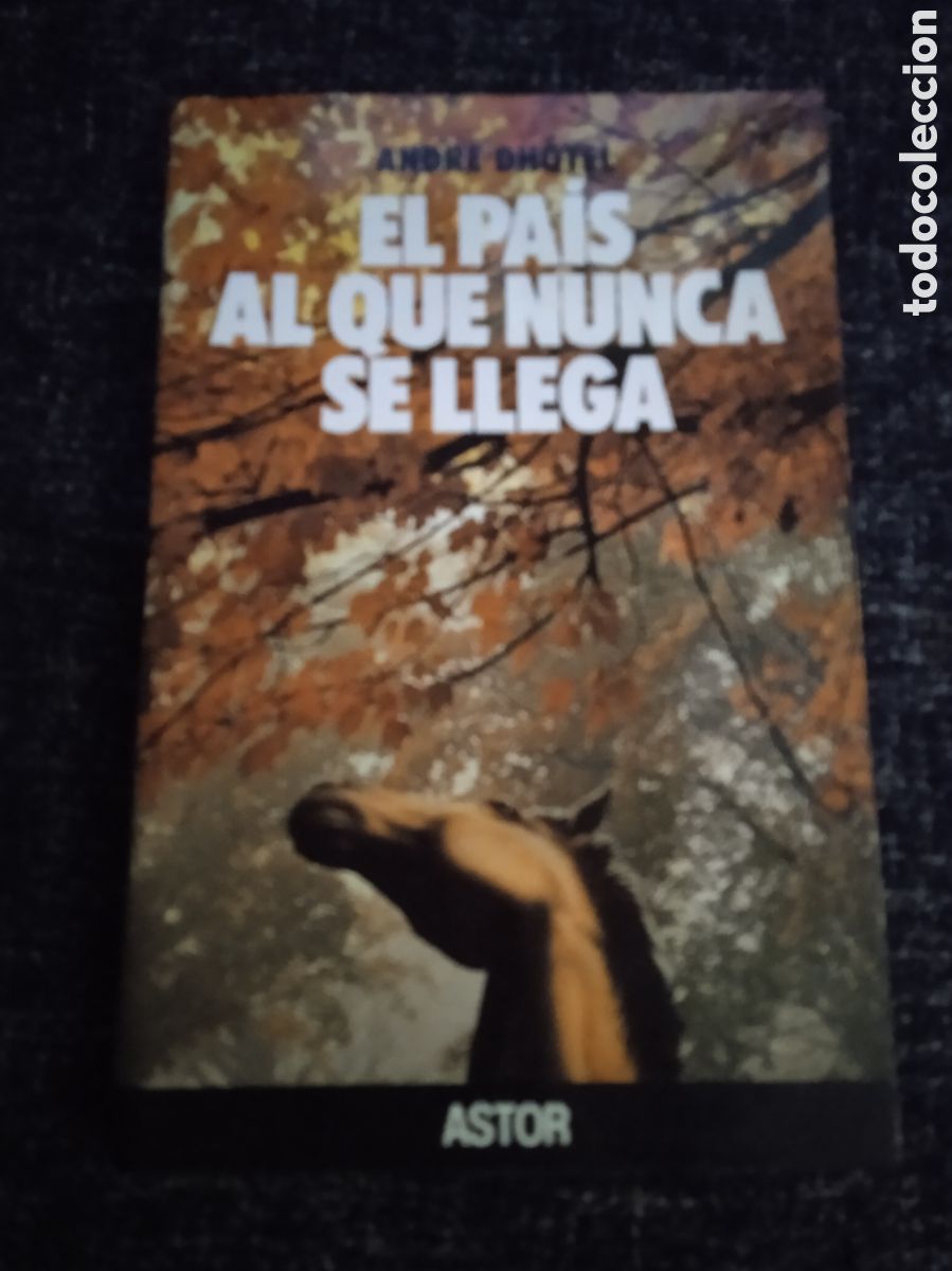 Second hand books: El pa&iacute;s al que nunca se llega / Andre D'Hotel