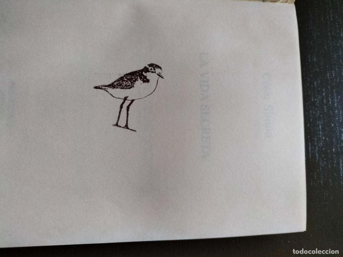 Libros de segunda mano: La vida secreta - C&eacute;sar Sim&oacute;n. Pre-textos - Foto 4