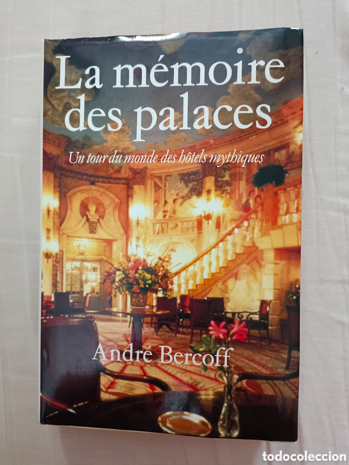 Libros de segunda mano: La m&eacute;moire des palaces - Foto 1