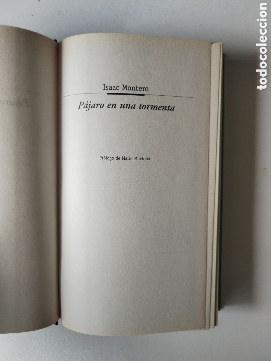Libros de segunda mano: PAJARO EN UNA TORMENTA/ISAAC MONTERO - Foto 2