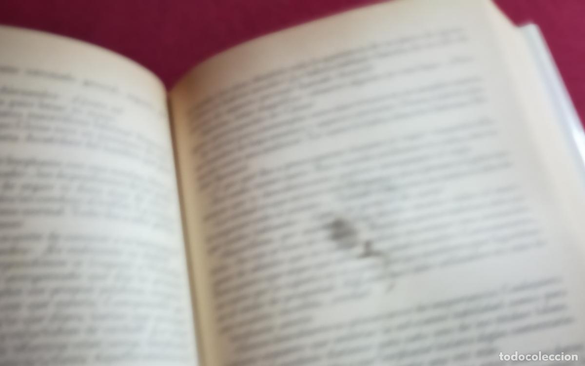 Libros de segunda mano: DULCE IMPOSTURA - JUDITH MICHAEL. - Foto 7