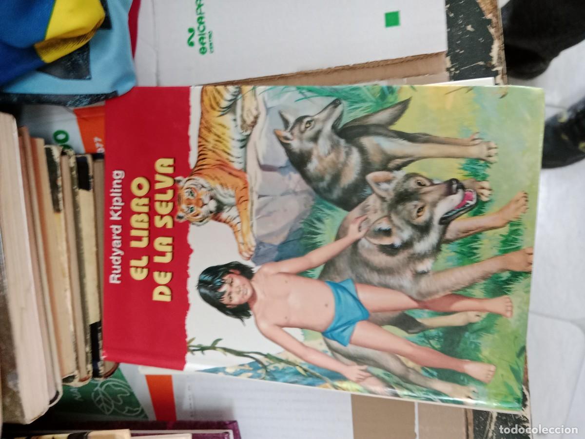 Libros de segunda mano: M-REP LIBRO EL LIBRO DE LA SELVA RUDYARD KIPLING - Foto 1
