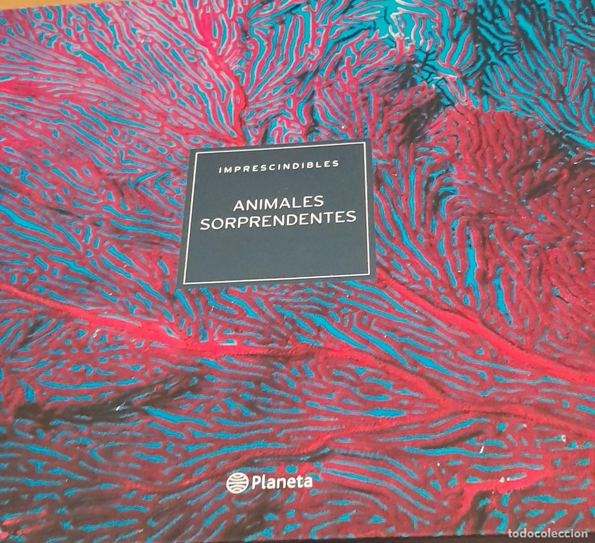 Libros de segunda mano: Imprescindibles de Planeta. - Foto 1
