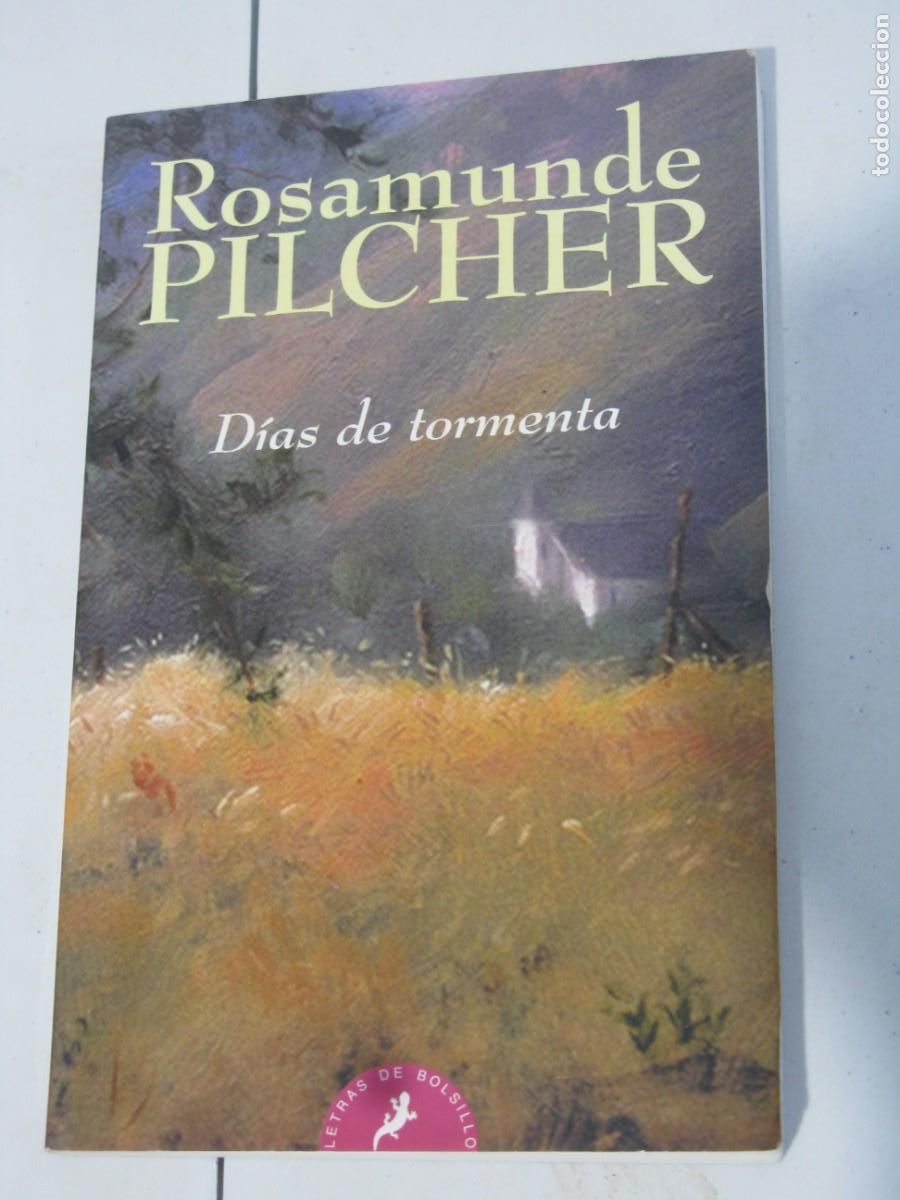 Libros de segunda mano: D&iacute;as de tormenta: Pilcher, Rosamunde - Foto 1