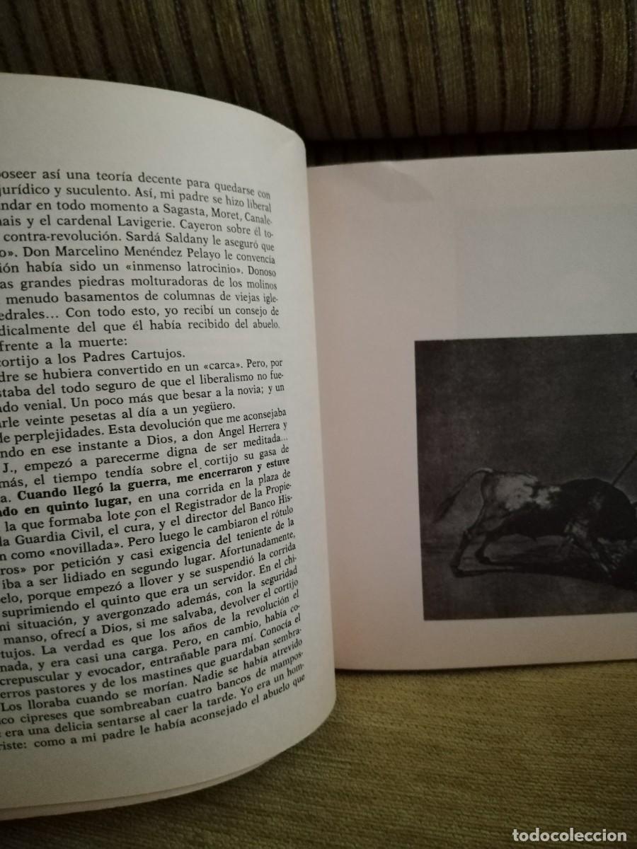 Libros de segunda mano: EL ESPA&Ntilde;OL ANTE EL DILUVIO - Foto 10