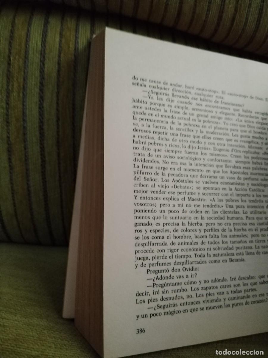Libros de segunda mano: EL ESPA&Ntilde;OL ANTE EL DILUVIO - Foto 13