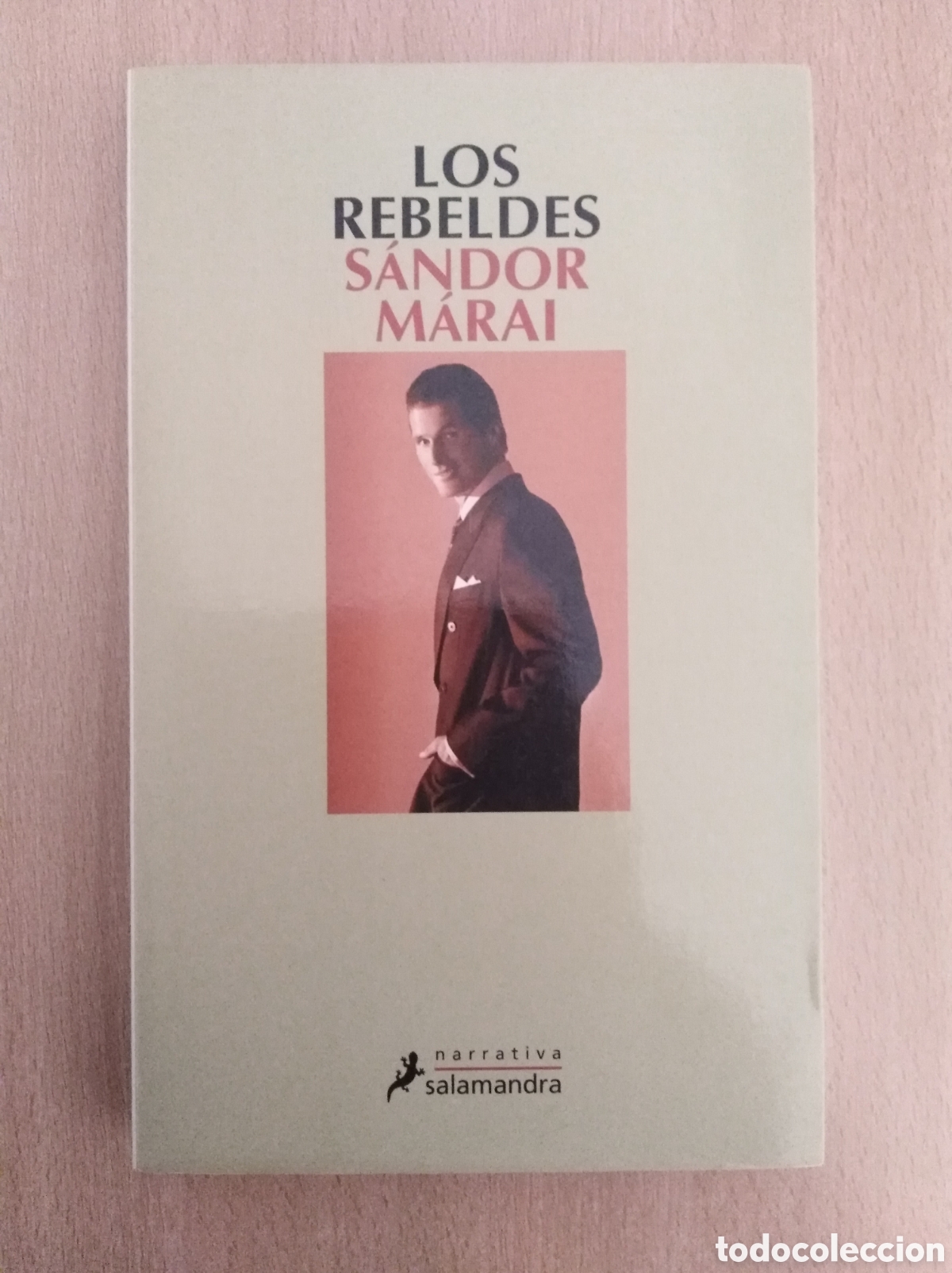 Libros de segunda mano: LOS REBELDES. S&aacute;ndor M&aacute;rai - Foto 1