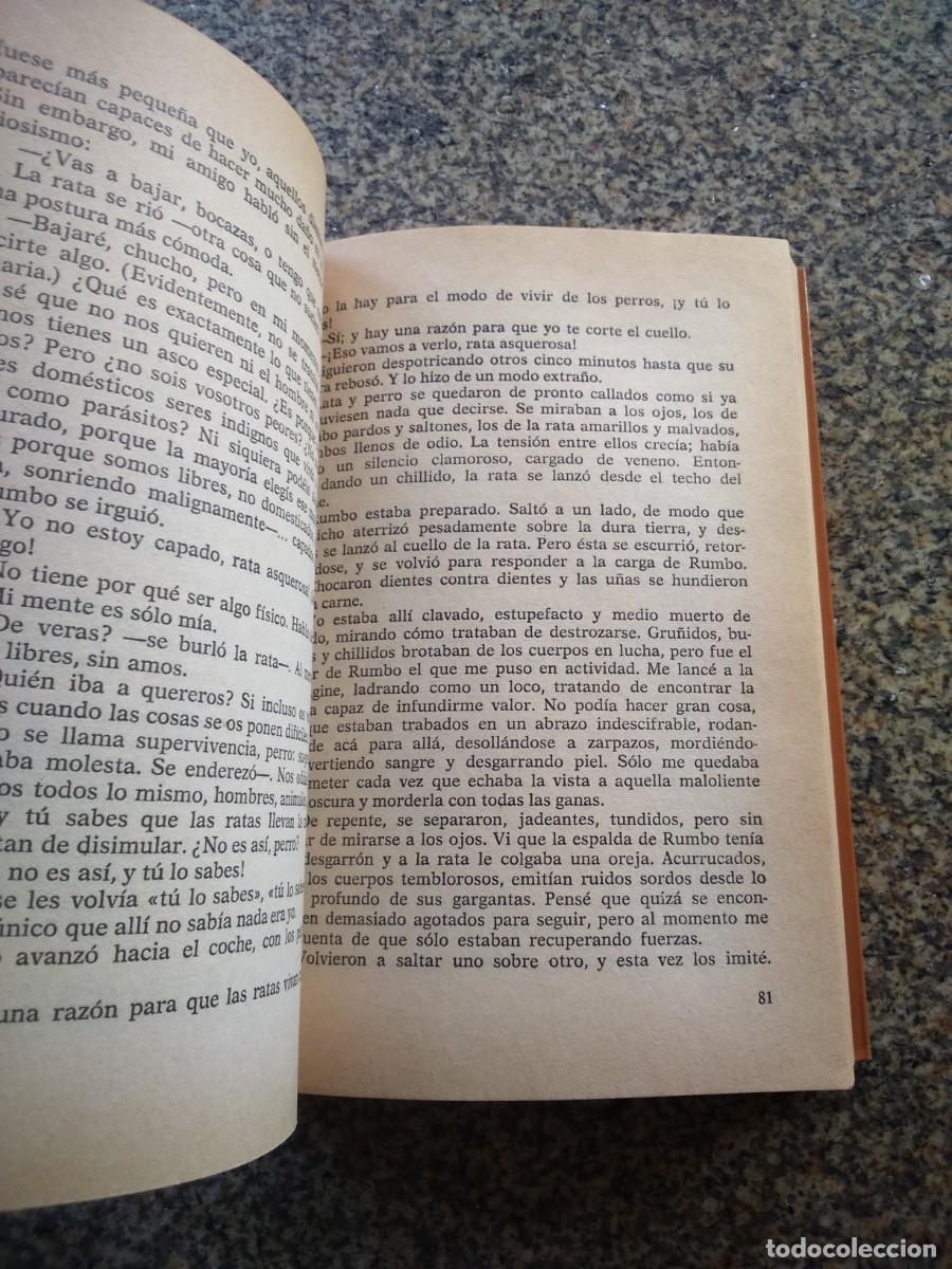 Libros de segunda mano: CHAMBA -- JAMES HERBERT -- PLANETA -- - Foto 2