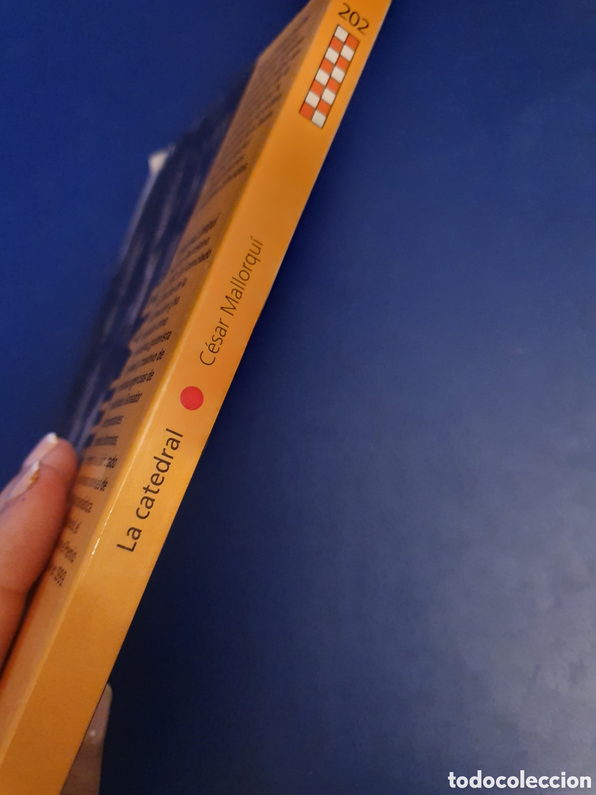 Libros de segunda mano: QUELA LIBRO. LA CATEDRAL CESAR MALLORQUI PREMIO GRAN ANGULAR 1999 - Foto 2
