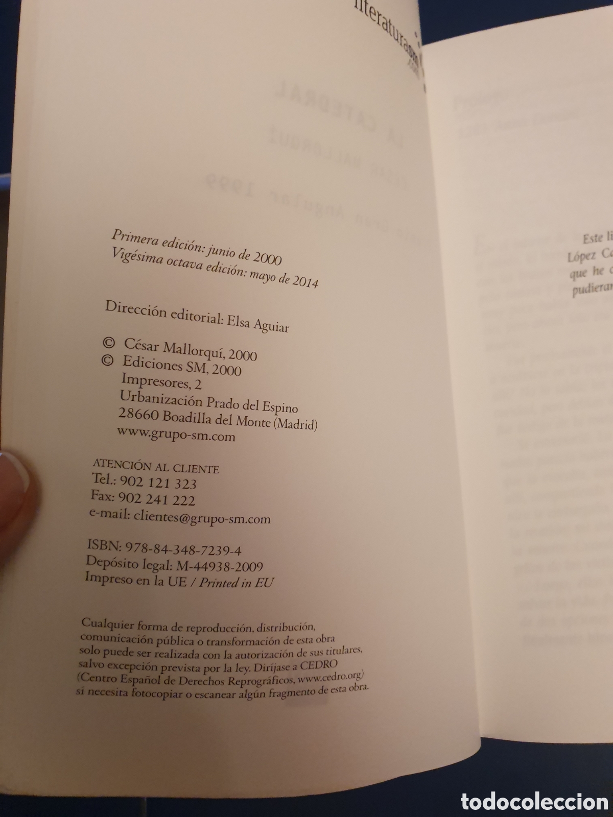 Libros de segunda mano: QUELA LIBRO. LA CATEDRAL CESAR MALLORQUI PREMIO GRAN ANGULAR 1999 - Foto 4
