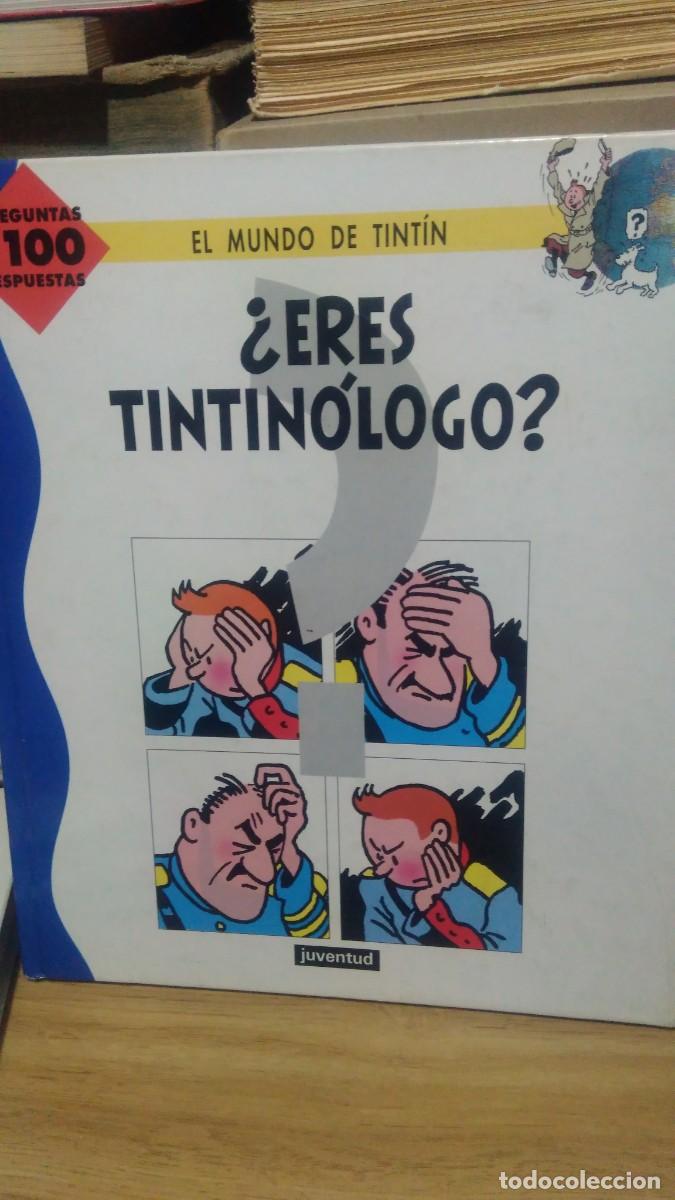 Libros de segunda mano: Eres Tintin&oacute;logo? el mundo de Tint&iacute;n juventud