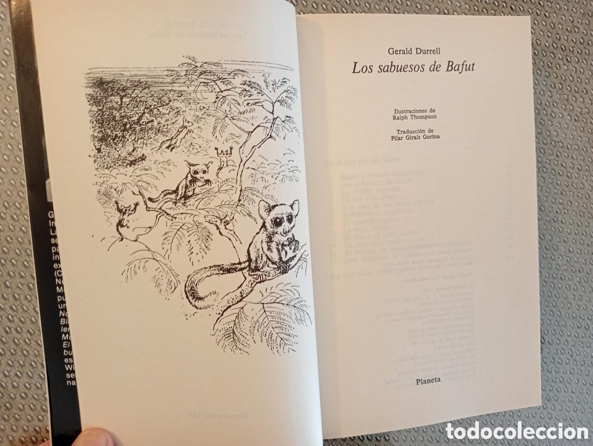 Libros de segunda mano: Los sabuesos del Bafut / Gerald Durrell. - Foto 2