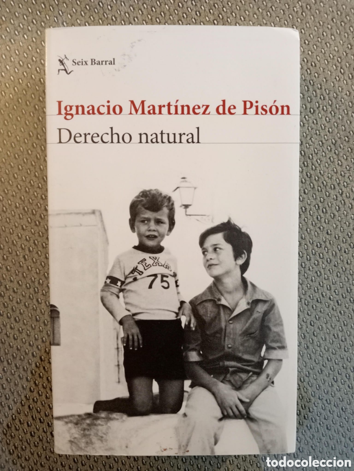 Libros de segunda mano: Derecho Natural / Ignacio Mart&iacute;nez de Pis&oacute;n - Foto 1