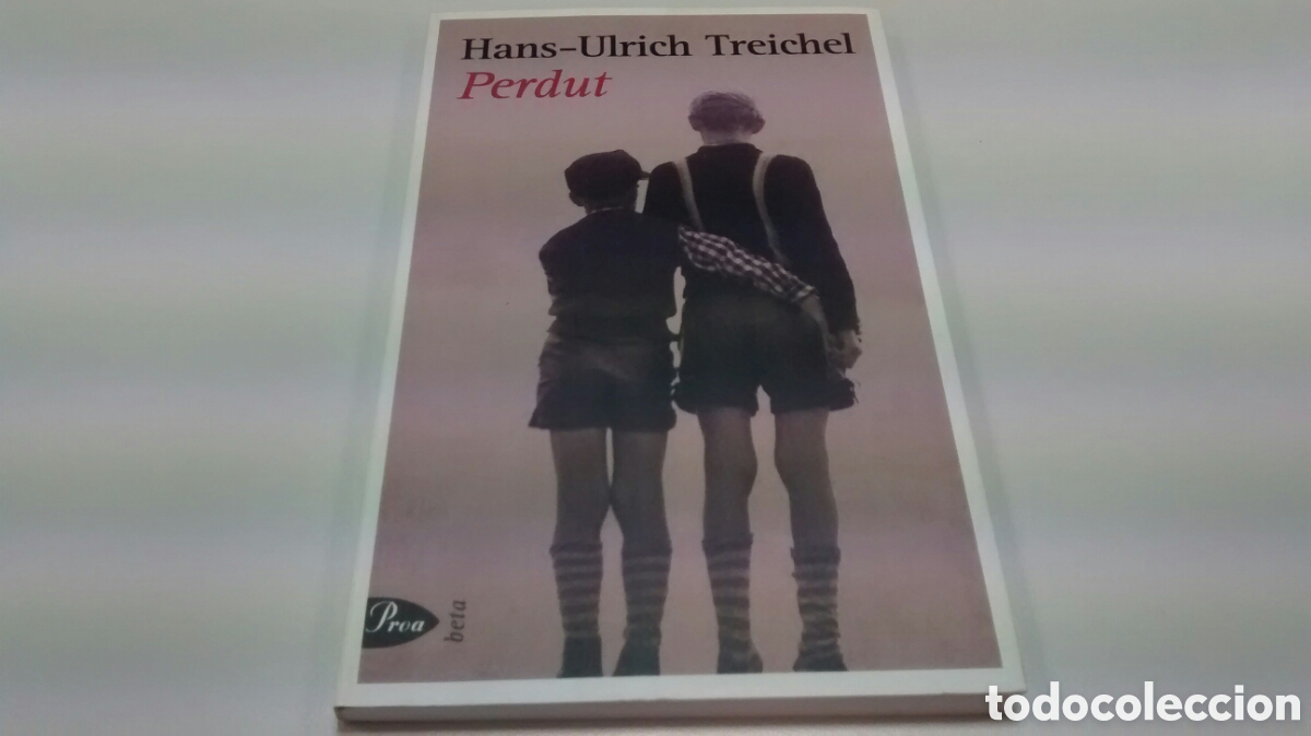 Libros de segunda mano: PERDUT DE HANS-ULRICH TREICHEL (PROA) - Foto 1
